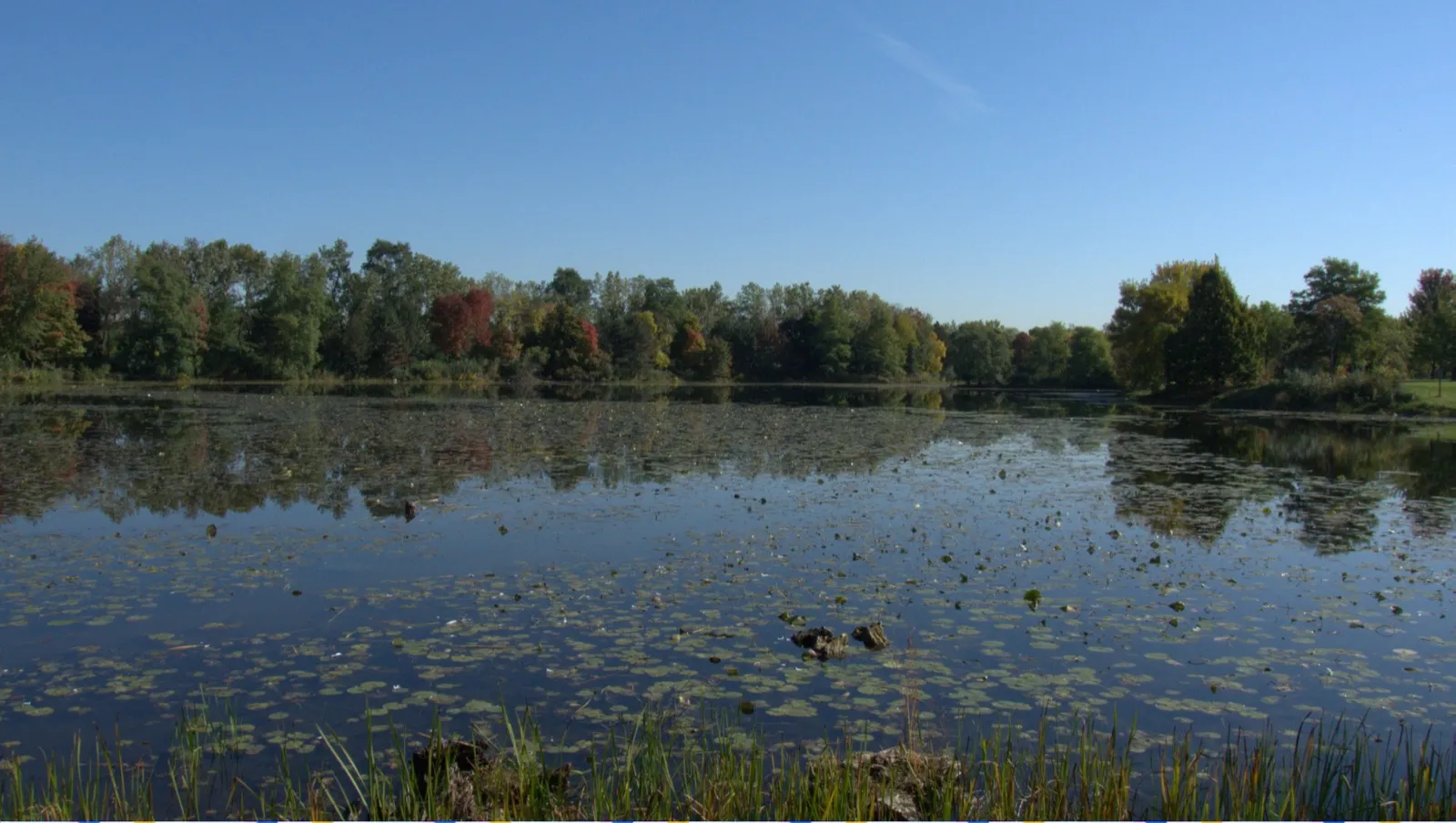 Photo of Palos Hills, IL